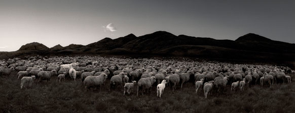 Pentti Sammallahti