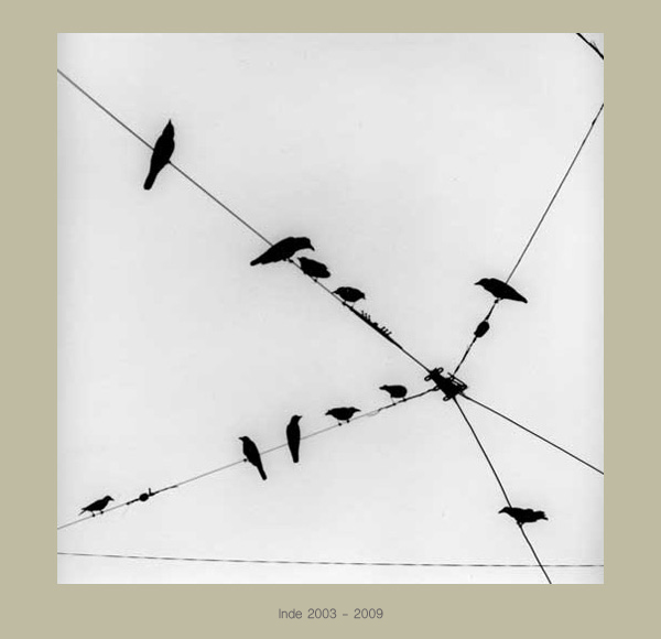 Denis Brihat